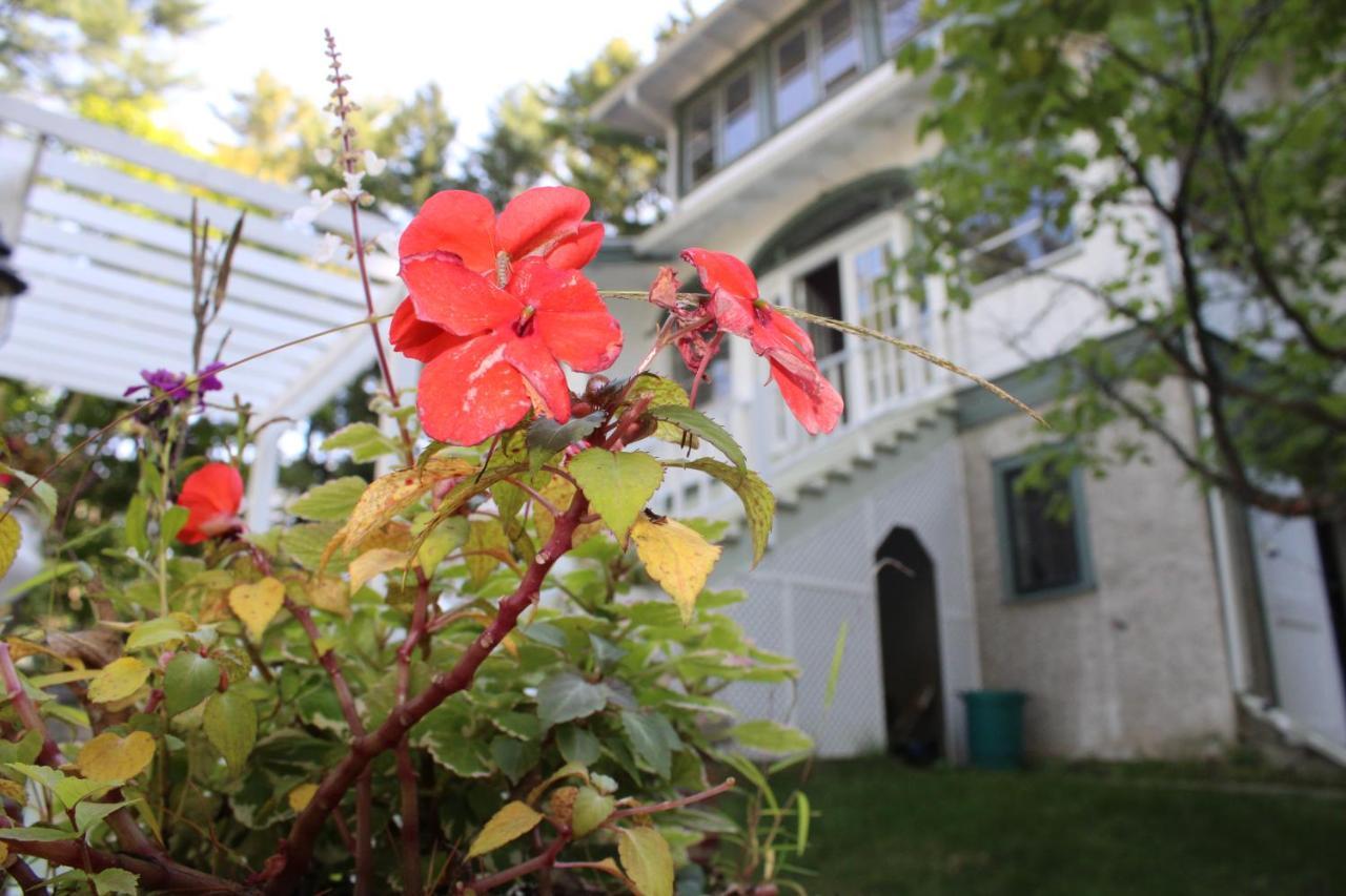 The Hillside B&B. Home W/ Breakfast Service! Висконсин Делс Экстерьер фото